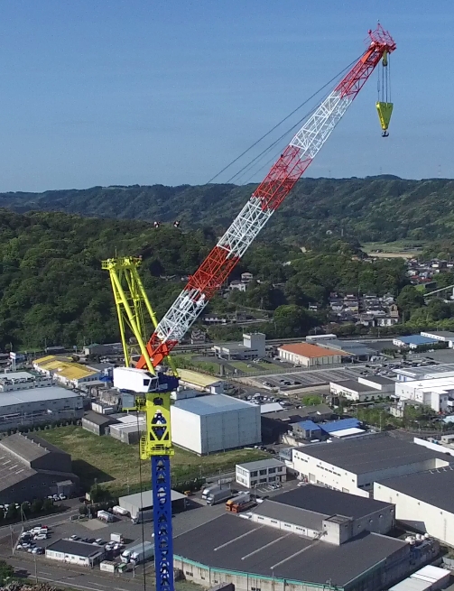 Luffing boom tower crane